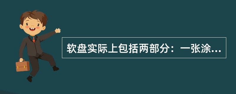 软盘实际上包括两部分：一张涂有磁性材料的薄薄的塑料圆盘，以及一个保护性塑料封套或