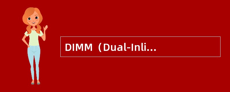 DIMM（Dual-Inline-Menory-Modules）