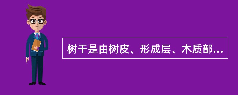 树干是由树皮、形成层、木质部和髓心四部分组成。