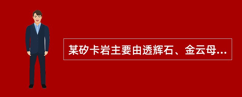 某矽卡岩主要由透辉石、金云母、蛇纹石及滑石组成，这种矽卡岩属于（）。