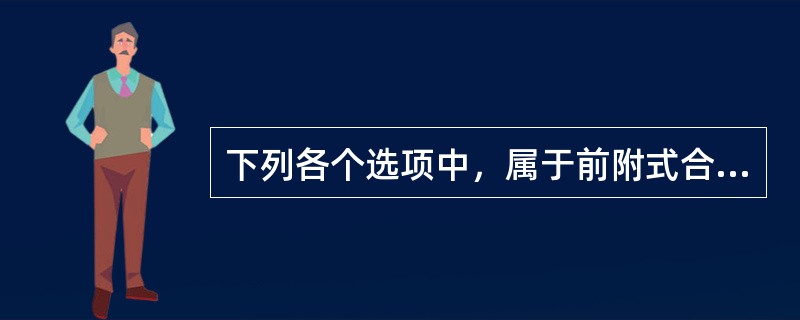 下列各个选项中，属于前附式合成词的有（）。