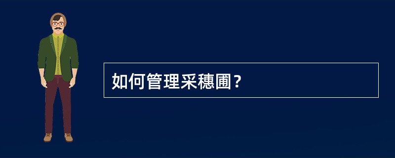 如何管理采穗圃？