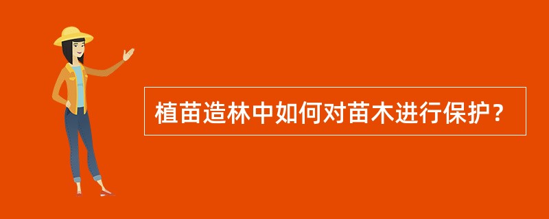 植苗造林中如何对苗木进行保护？