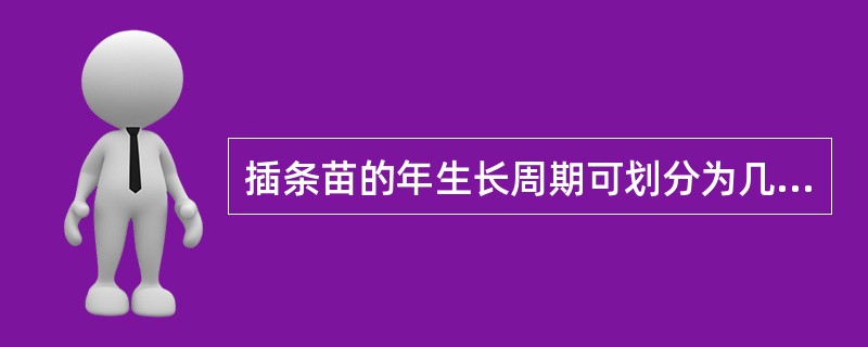 插条苗的年生长周期可划分为几个时期，其各自的生长特点和育苗技术要点是什么？