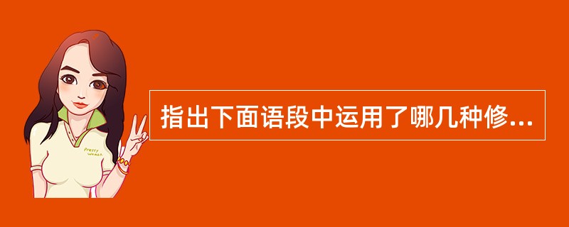 指出下面语段中运用了哪几种修辞格？除此之外，就是寂静，耳朵里有不可捉摸的声响，极