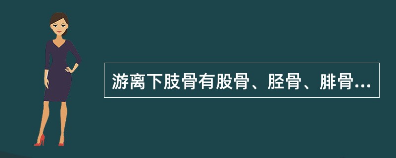 游离下肢骨有股骨、胫骨、腓骨、髌骨和（）。