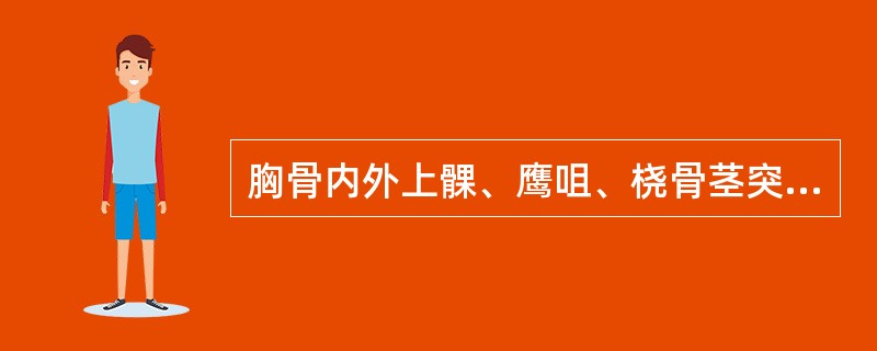 胸骨内外上髁、鹰咀、桡骨茎突、尺骨头和（）是上肢常用骨性标志。