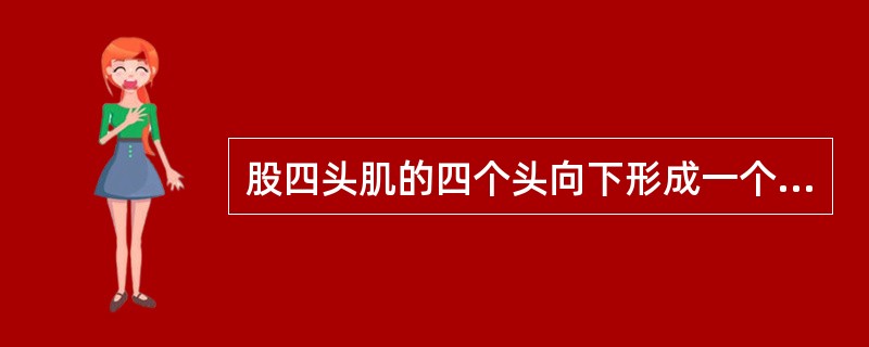 股四头肌的四个头向下形成一个胜越过骸骨，止于（）。