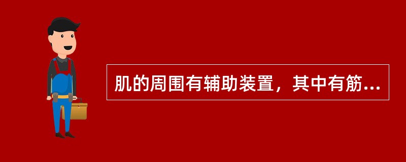 肌的周围有辅助装置，其中有筋膜、滑膜囊和（）。