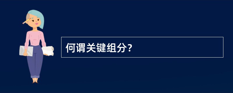 何谓关键组分？