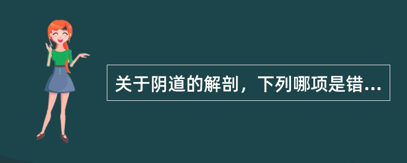 关于阴道的解剖，下列哪项是错误的()