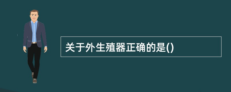 关于外生殖器正确的是()