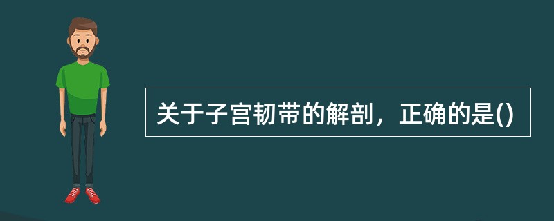 关于子宫韧带的解剖，正确的是()