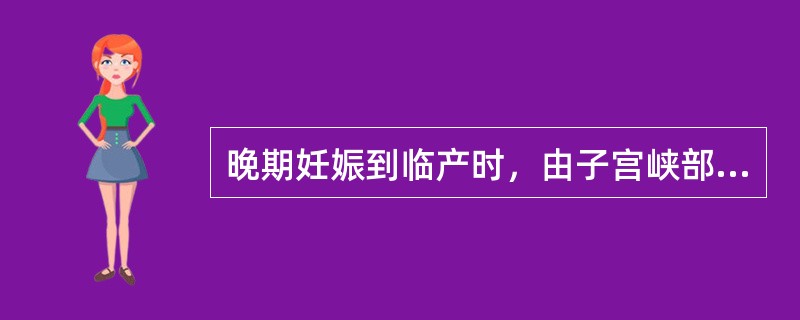 晚期妊娠到临产时，由子宫峡部形成()临产后，被动牵拉、变短、扩张，成为子宫下段的