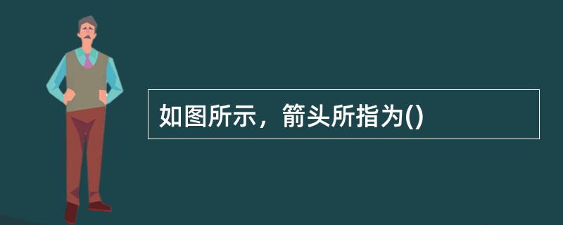 如图所示，箭头所指为()