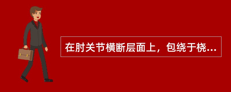 在肘关节横断层面上，包绕于桡骨头周围的C形韧带为（）