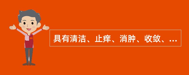 具有清洁、止痒、消肿、收敛、清热解毒作用的外用剂型是（）