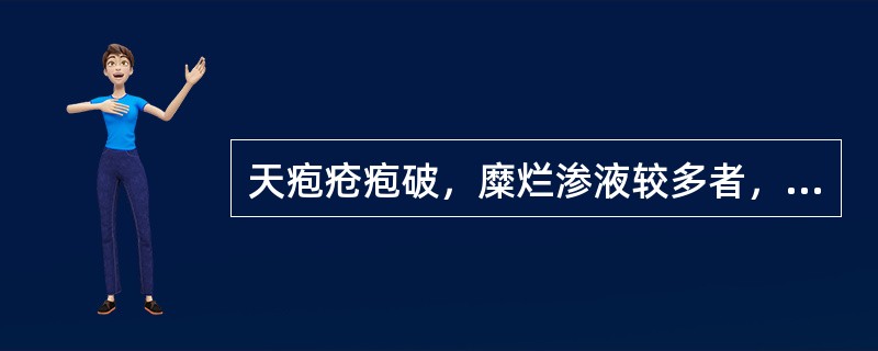 天疱疮疱破，糜烂渗液较多者，外治宜（）