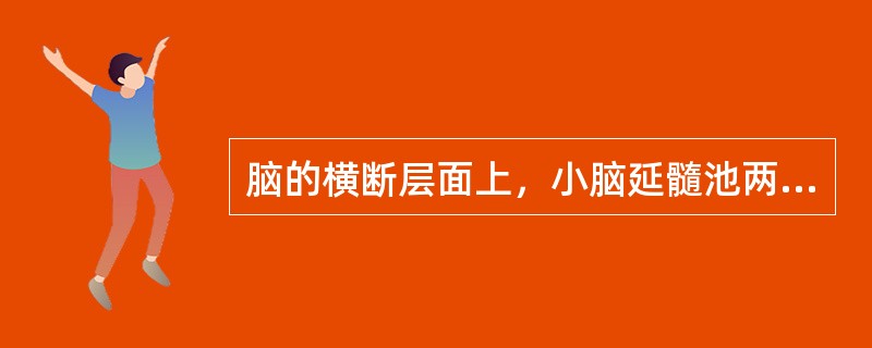 脑的横断层面上，小脑延髓池两侧的脑组织为（）