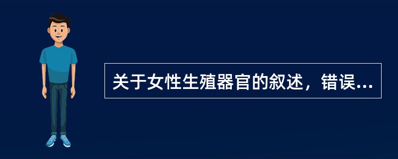 关于女性生殖器官的叙述，错误的是（）