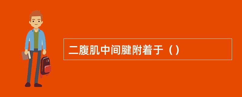 二腹肌中间腱附着于（）