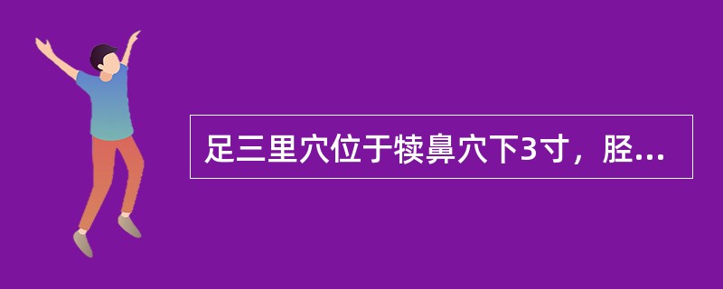 足三里穴位于犊鼻穴下3寸，胫骨前嵴外1寸处。（）