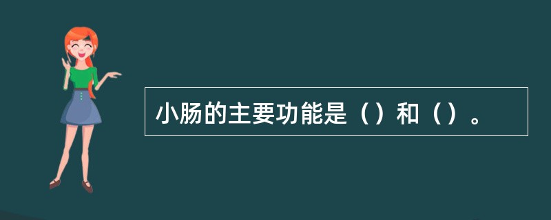 小肠的主要功能是（）和（）。