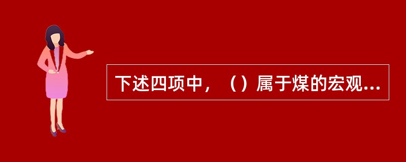 下述四项中，（）属于煤的宏观煤岩类型。