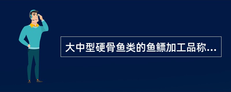 大中型硬骨鱼类的鱼鳔加工品称为（）。