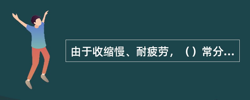 由于收缩慢、耐疲劳，（）常分布于作长距离洄游的鱼类中。