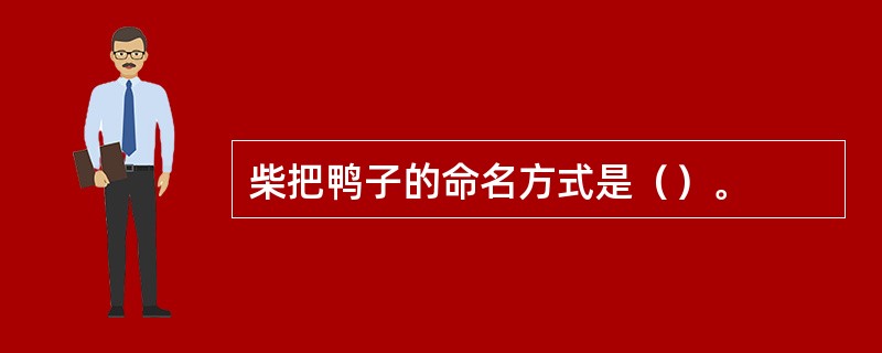 柴把鸭子的命名方式是（）。