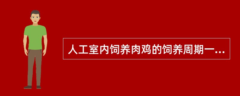 人工室内饲养肉鸡的饲养周期一般平均为（）。