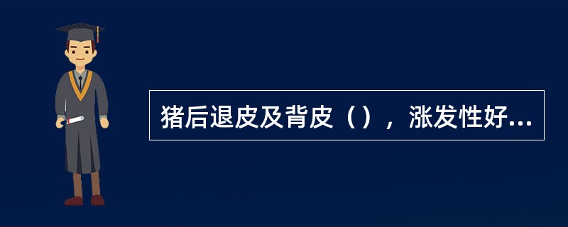 猪后退皮及背皮（），涨发性好，质量最好