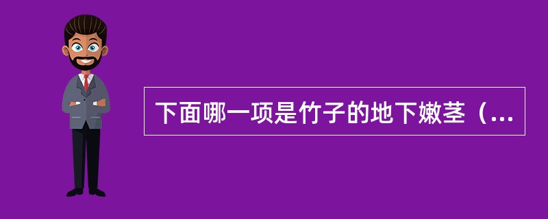 下面哪一项是竹子的地下嫩茎（）。