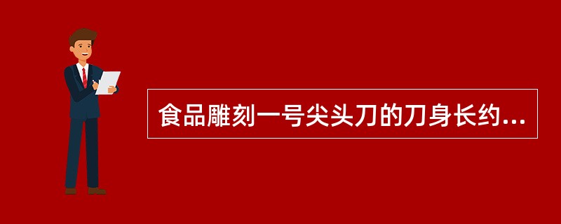 食品雕刻一号尖头刀的刀身长约（）。