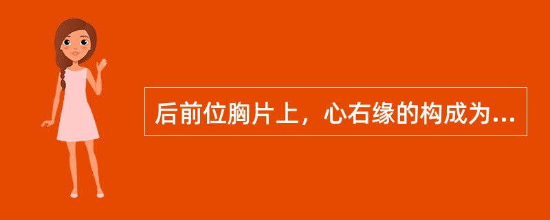 后前位胸片上，心右缘的构成为（）