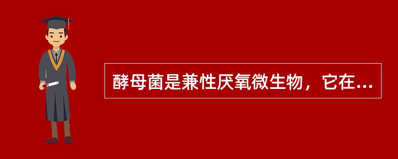 酵母菌是兼性厌氧微生物，它在缺氧条件下进行厌氧性发酵积累酒精，在有氧天津下进行好