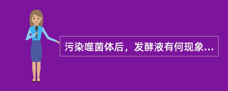 污染噬菌体后，发酵液有何现象（）。