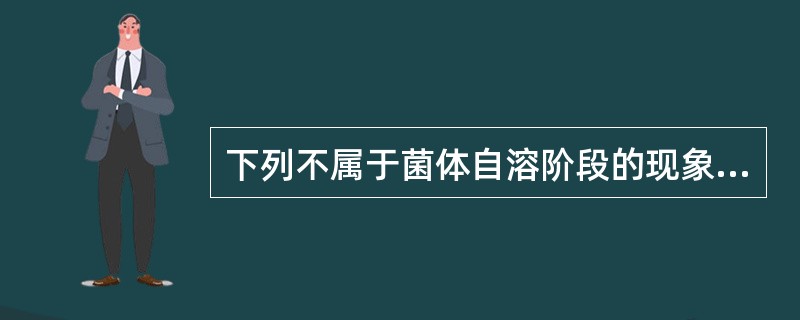 下列不属于菌体自溶阶段的现象是（）