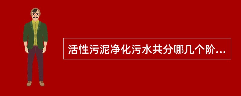 活性污泥净化污水共分哪几个阶段？