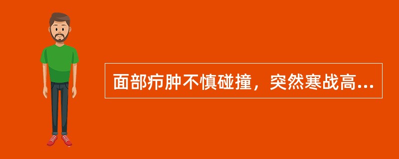 面部疖肿不慎碰撞，突然寒战高热，血白细胞18×109/L，中性粒细胞0.90，局