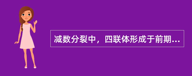 减数分裂中，四联体形成于前期Ⅰ的（）。