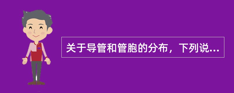 关于导管和管胞的分布，下列说法正确的是（）