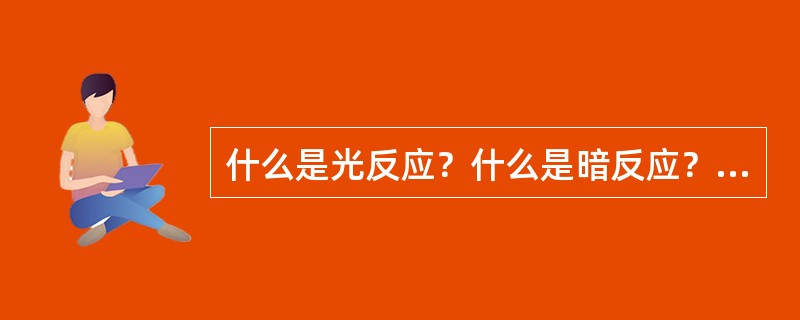 什么是光反应？什么是暗反应？二者有何不同？