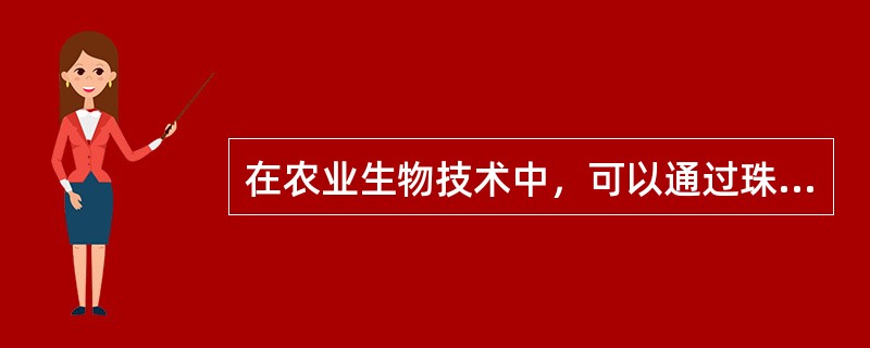 在农业生物技术中，可以通过珠心组织培养获得无病毒植株，这是因为（）