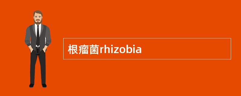 根瘤菌rhizobia