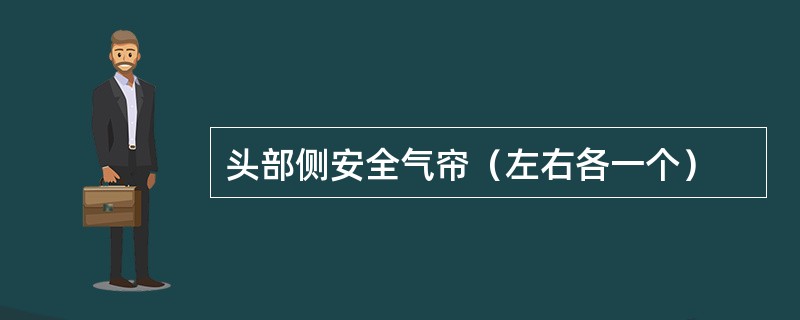 头部侧安全气帘（左右各一个）