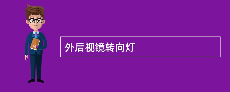 外后视镜转向灯