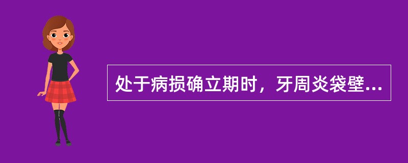 处于病损确立期时，牙周炎袋壁上皮下方的炎症细胞浸润主要以（）