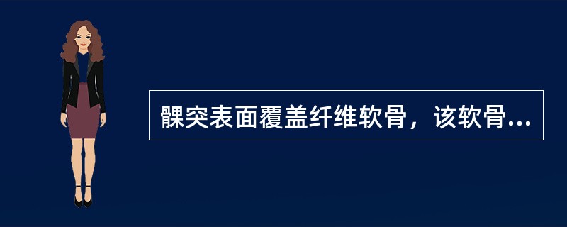 髁突表面覆盖纤维软骨，该软骨从表层到深层可分为四层，正确的是（）